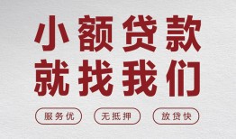 深圳龙岗区私人放水-深圳龙岗区快速小额贷款-深圳龙岗区空放个人借钱