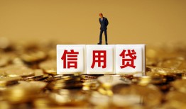 深圳龙岗区哪里可以民间借贷-深圳龙岗区私人借钱当天拿钱-深圳龙岗区贷款联系电话