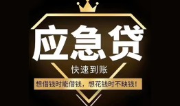 深圳龙岗区本地私借-深圳龙岗区贷款当天放款-深圳龙岗区私人身份证借私借