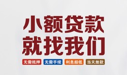 深圳龙岗区小额短借-深圳龙岗区私人借贷平台-深圳龙岗区个人借钱