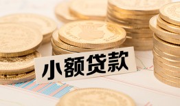 深圳龙岗区哪里有小额贷款-深圳龙岗区身份证贷款平台-深圳龙岗区民间短借